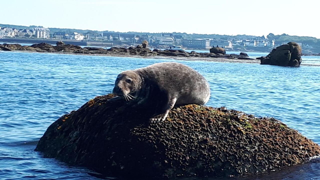 Studio face à la mer Concarneau Extérieur photo